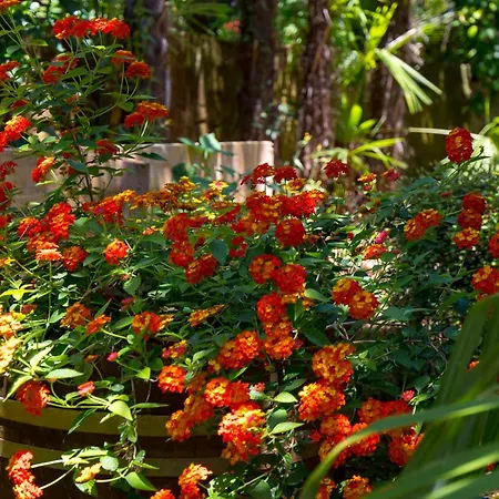 Apartman With A Parking Space - 23458 Opatija